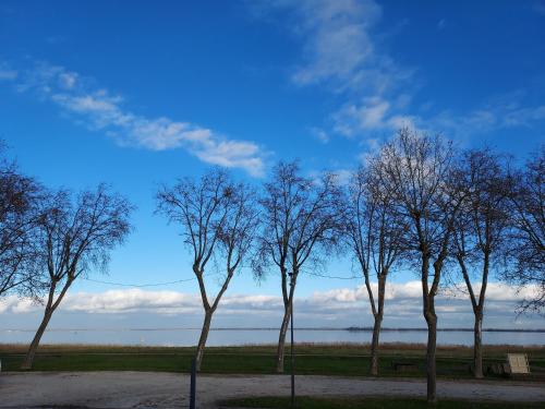 a row of trees in a park with a bench at Chez Christophe Pauillac chambre d'hôtes 1 chambre max 2 pers in Pauillac