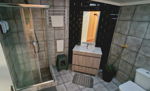a bathroom with a shower and a sink and a toilet at AL - Studio to Travelers in Ponta Delgada