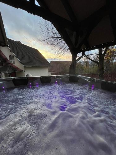 a hot tub with purple water in a backyard at Pensiunea Aby in Sovata