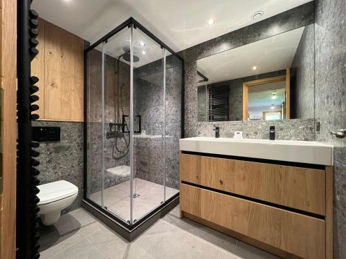 a bathroom with a shower and a toilet and a sink at Grand chalet à la montagne in Bourg-Saint-Maurice
