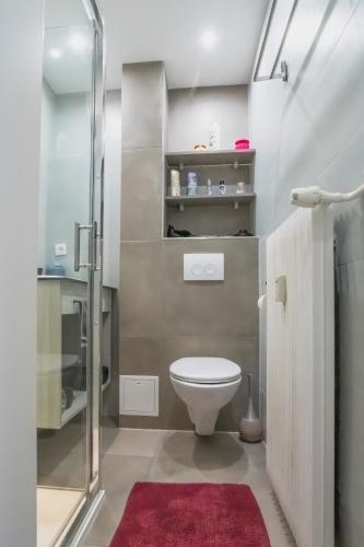 une salle de bain avec toilettes et douche en verre dans l'établissement Djokovic's Apartment, à Colmar
