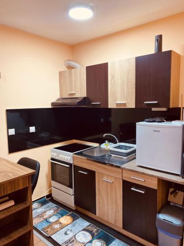a kitchen with a sink and a stove top oven at Aleksa in Novi Grad