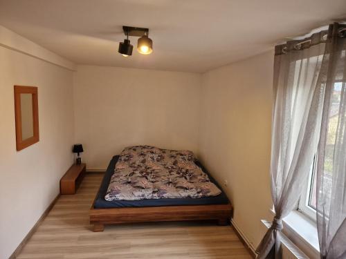 Schlafzimmer mit einem Bett und einem Fenster in der Unterkunft Rodzinny apartament + siłownia in Bytom