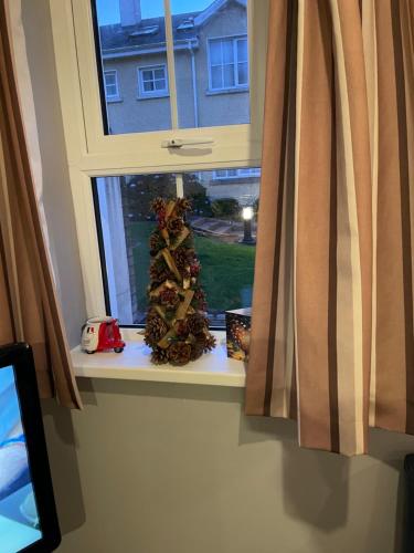 a window with a christmas tree on a window sill at Faithlegg Estate, Mews Holiday Home, Waterford in Waterford