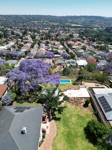 an aerial view of a city with houses and purple trees at Fishbird Art Deco Villa in Johannesburg