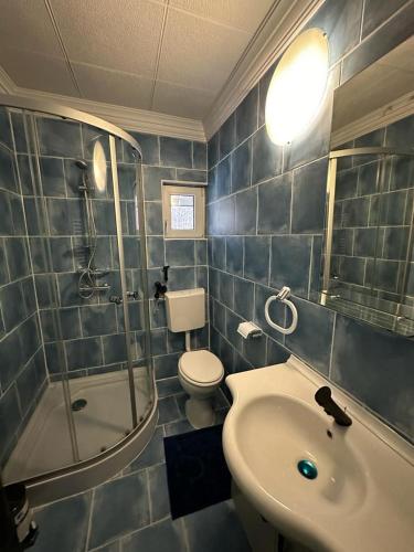 a bathroom with a sink and a shower and a toilet at PENSIUNEA Mari Haus in Poiana Mărului
