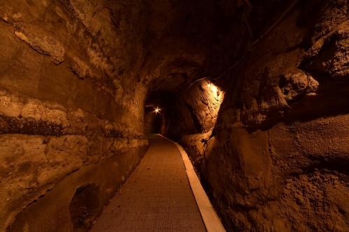 a dark tunnel with a path in a cave at 鵜原館 -Ubarakan- in Katsuura