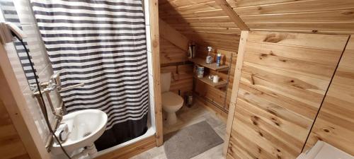 uma pequena casa de banho com WC e chuveiro em Domek z widokiem na góry Lasówka em Bystrzyca Kłodzka