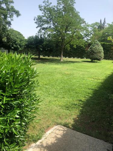 En have udenfor Chez Alexandra