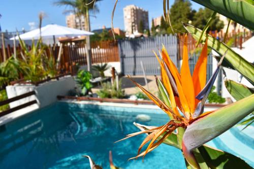 Kolam renang di atau dekat dengan APART TURISTICOS MARINE REST LA MANGA MAR MENOR piscinas privadas