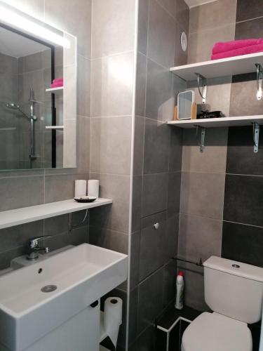 une salle de bain avec un lavabo, des toilettes et un miroir dans l'établissement La Plume du Ventoux studio, à Mollans-sur-Ouvèze