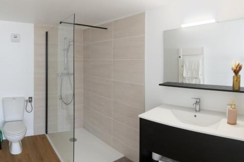 La salle de bains est pourvue d'une douche, de toilettes et d'un lavabo. dans l'établissement Charmant appartement proche de Clermont-Ferrand, à Châteaugay