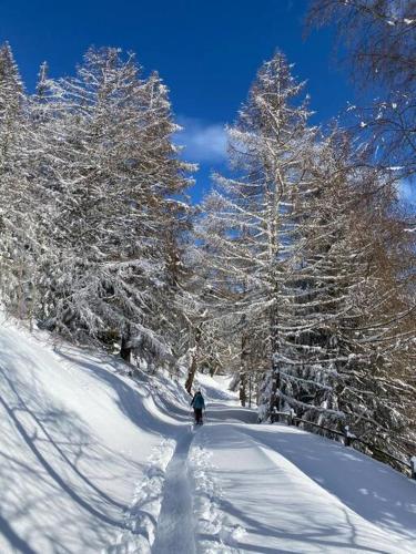 L'établissement stunning panoramic views! Hottube & Sauna en hiver