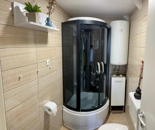 eine Dusche im Bad mit Glaswand in der Unterkunft Country Lodge in Brežice