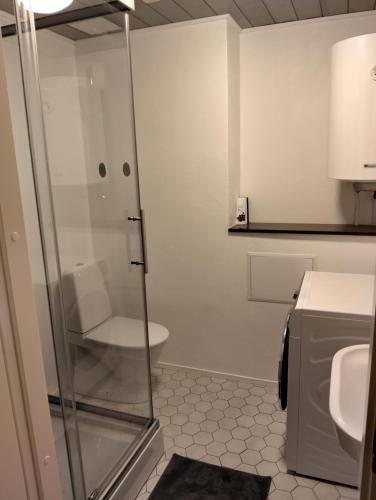 La salle de bains est pourvue d'une douche, de toilettes et d'un lavabo. dans l'établissement Suur-Aia 21 Apartment, à Paide