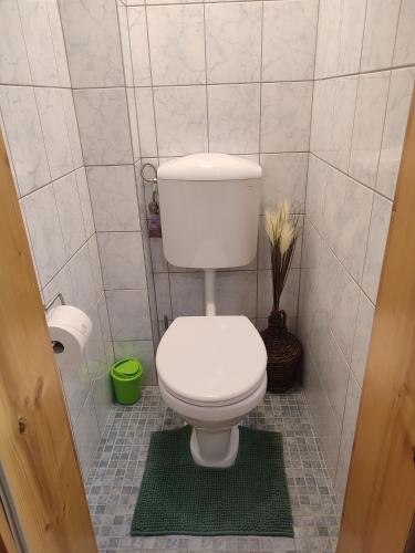 a bathroom with a toilet and a green rug at Be Home! 2. Apartment Gratkorn in Gratkorn