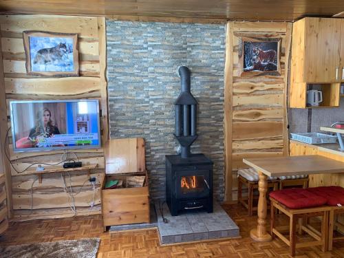 a living room with a wood stove and a television at Apartmani Košuta- Ljiljana Đokanović in Jahorina
