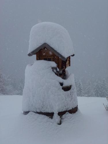 a bird feeder covered in snow in a yard at Kellnerhof in Nova Levante