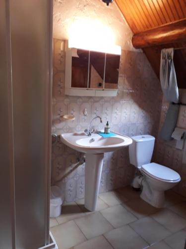 une salle de bain avec un lavabo et des toilettes dans l'établissement Appart chalet, à Saint-Martin-Vésubie