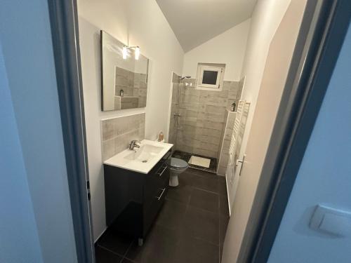 ein kleines Bad mit einem Waschbecken und einem WC in der Unterkunft Love room borabora 6 in Trévoux