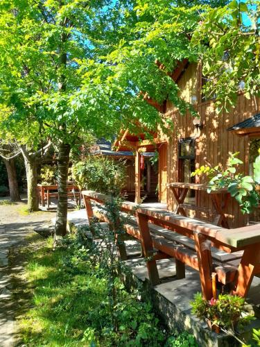 a group of benches sitting in front of a building at Hosteria-Cabañas Rucapillan in Choshuenco