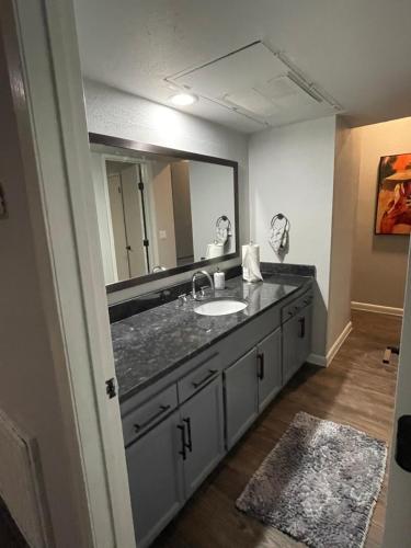 a bathroom with a sink and a large mirror at Rafeal in Houston