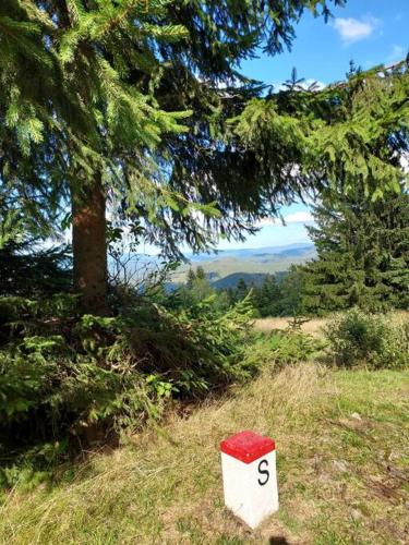 Paisaje cerca de este apartamento