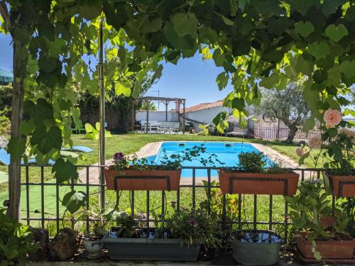 una piscina en un patio con macetas en Casa do Forno, en Salvaterra do Extremo