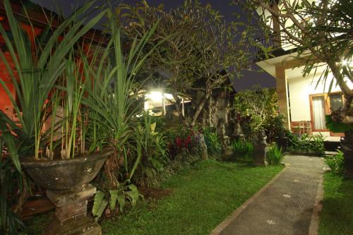 a house with plants in a yard at night at Suryadina Guest House in Ubud