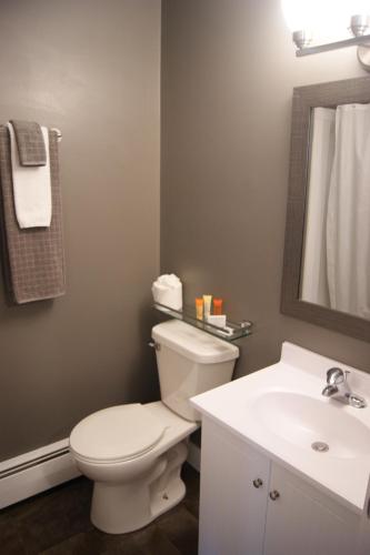 a bathroom with a white toilet and a sink at Stardust Inn and Chalets in Pincher Creek