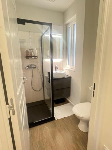 ein Bad mit einer Dusche und einem WC in der Unterkunft Appartement proche de Roland-Garros in Boulogne-Billancourt