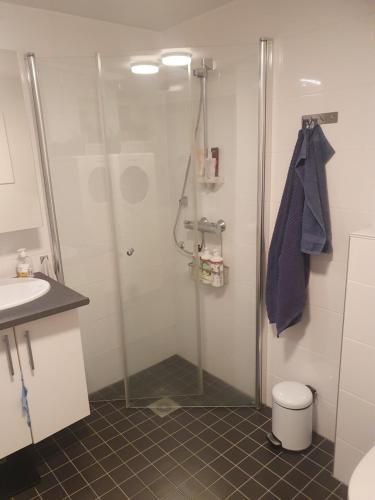 a bathroom with a shower and a toilet and a sink at Top Apartment in Tromsø