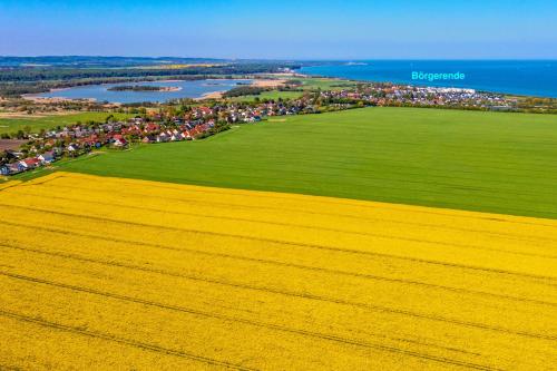 an aerial view of a rapeseed field and the ocean at Villa Deichgraf 12 "Meerblick" in Börgerende-Rethwisch
