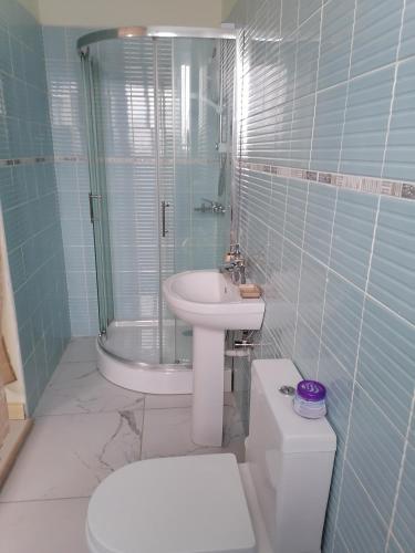 a bathroom with a white toilet and a sink at L & J Apartments in Dawhwenya