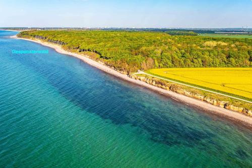 an aerial view of a beach and the ocean at Villa Deichgraf 7 "Ostseeblick" in Börgerende-Rethwisch