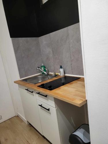 une cuisine avec un évier et un comptoir dans l'établissement APPARTEMENT DE GUISE 7, à Valenciennes