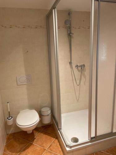 a bathroom with a toilet and a shower with a shower at Ferienwohnung im Schwedenhaus in Großpostwitz