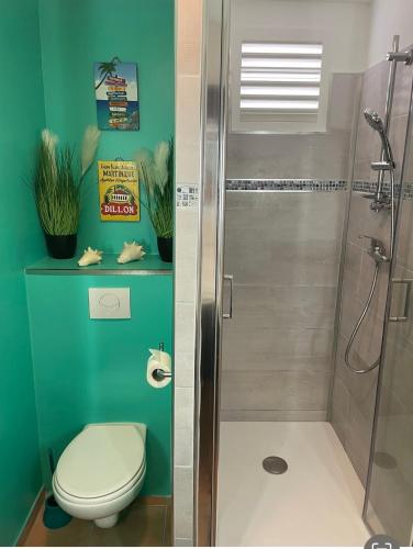 a bathroom with a shower with a toilet and a sink at Couleur Caraïbes- 2 Appartements Communicants Vue Mer CLUB DE VACANCES in Sainte-Luce