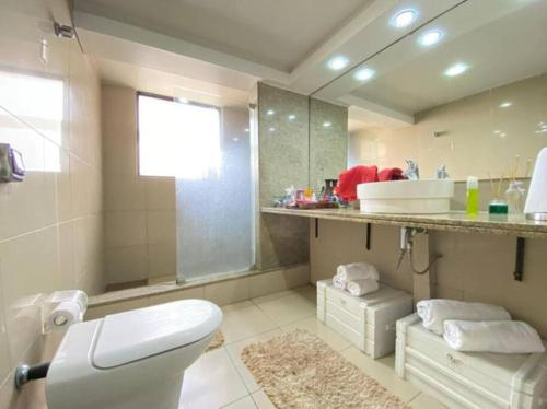 La salle de bains est pourvue de toilettes, d'un lavabo et d'un miroir. dans l'établissement Apartamento Beira Mar em Recife, à Récife