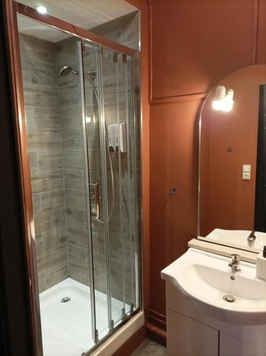 une salle de bain avec douche et lavabo dans l'établissement Le Velvet, à Hénin-Beaumont