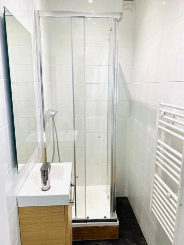 a bathroom with a shower and a white sink at Appartement Duplex Cosy in Le Havre