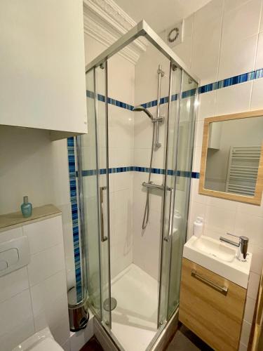 une salle de bain avec douche et lavabo dans l'établissement Jupiter 101 Studio Montmartre, à Paris
