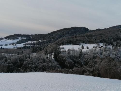 a snow covered hill with trees and a mountain at Ferienwohnung Wallmerhof am ländlichen Wimberg in Adnet