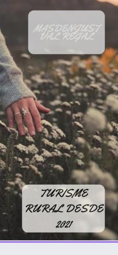 a picture of a person with their hand on some rocks at Masiadenjust in Rojals