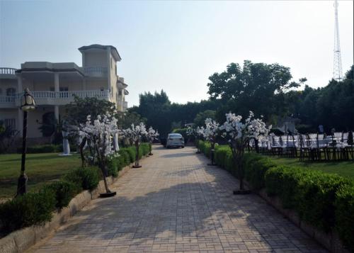 a road with trees with white flowers on it at الريف الاوروبي in Al Qaţā