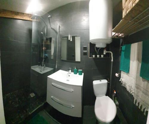 a bathroom with a white toilet and a sink at Maisonnette climatisée avec piscine & Spa in Marseille
