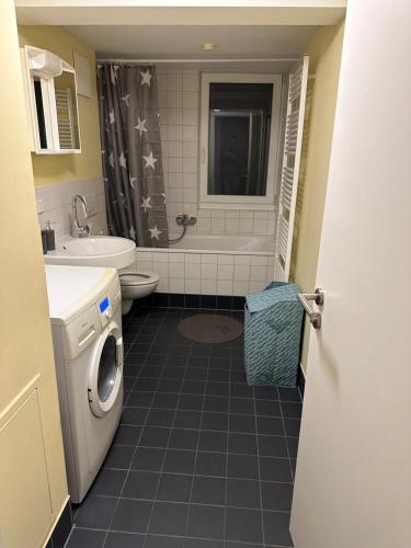 een badkamer met een wastafel, een toilet en een douche bij Home in Lahr