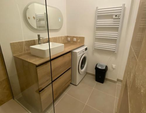 een badkamer met een wastafel en een wasmachine bij Appartement neuf et spacieux, centre ville, garage in Tournon-sur-Rhône