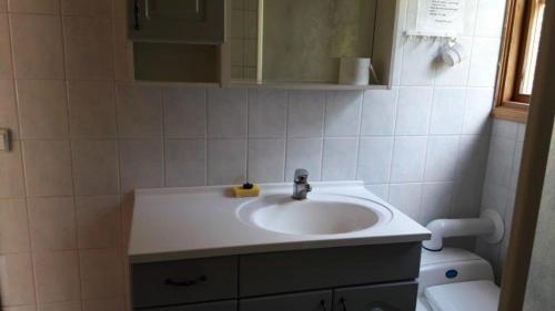 a bathroom with a sink and a toilet at Mellangårds stugor - Första stugan in Föglö