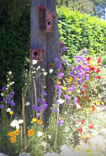 a garden with flowers and a tree with a birdhouse at Tierras del Sur I un calido lugar in Villa La Angostura